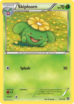 Skiploom (STS-004)