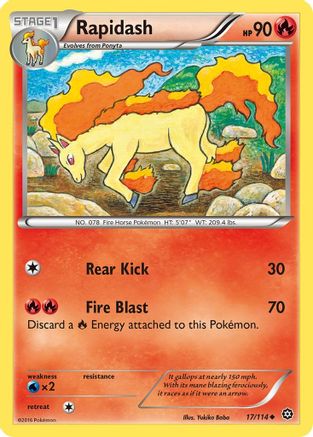 Rapidash (STS-017)
