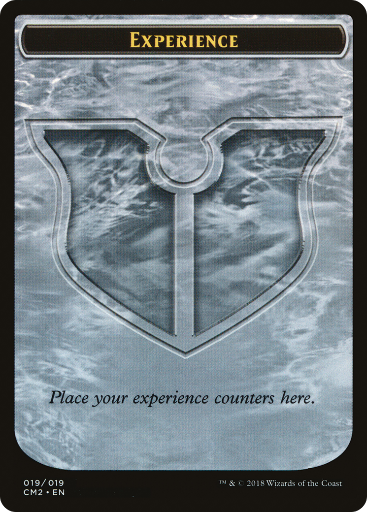 Experience (CM2-019)