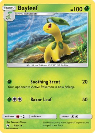 Bayleef (LOT-007)