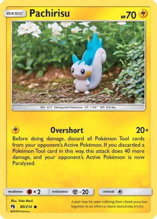 Pachirisu (LOT-080)