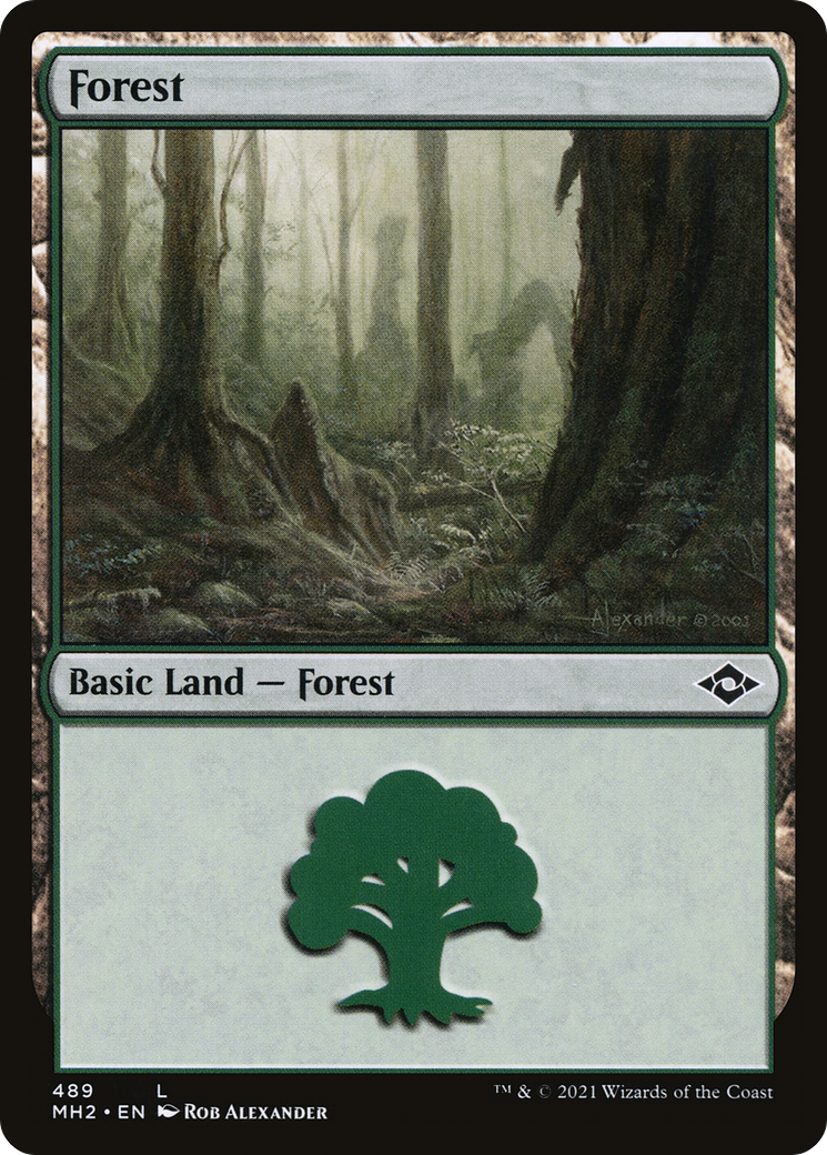 Forest (MH2-489)