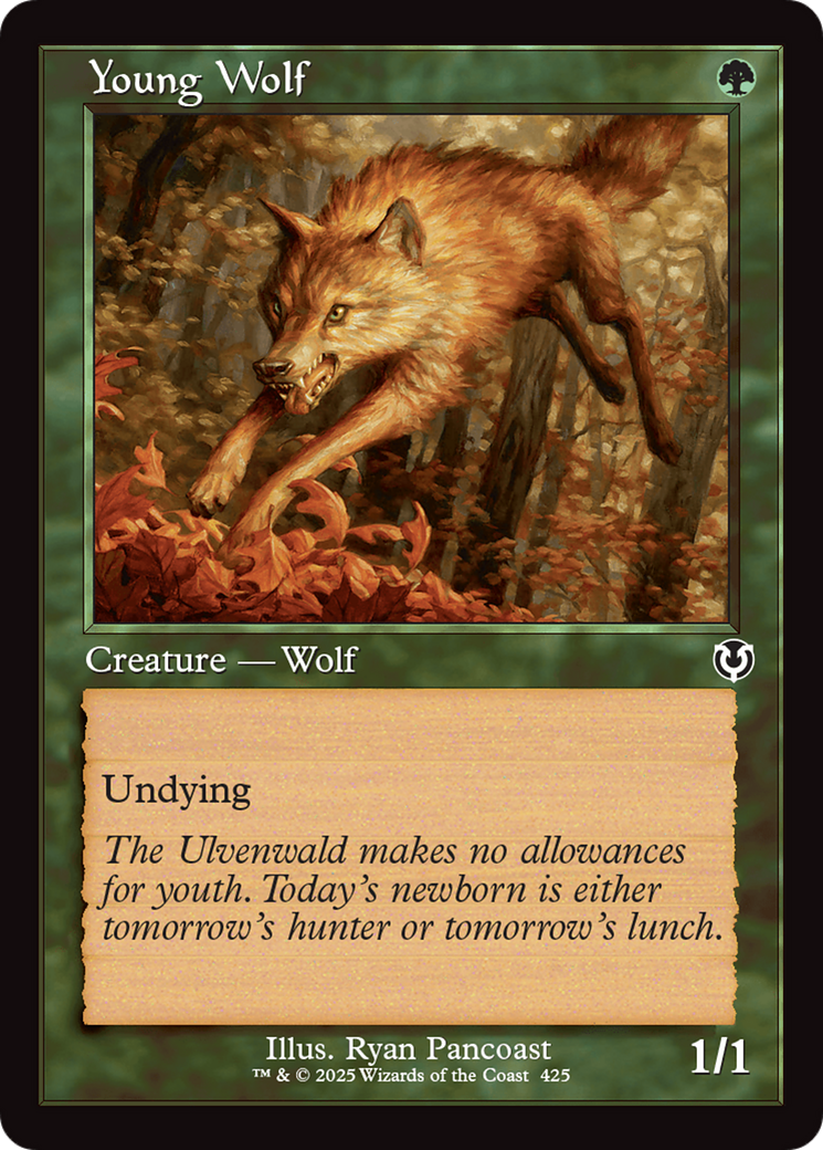 Young Wolf (INR-425)
