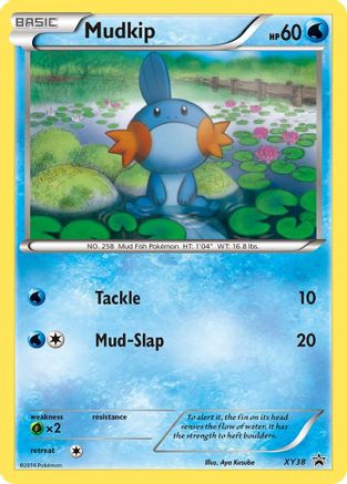 Mudkip (PR-XY38) (Holofoil)