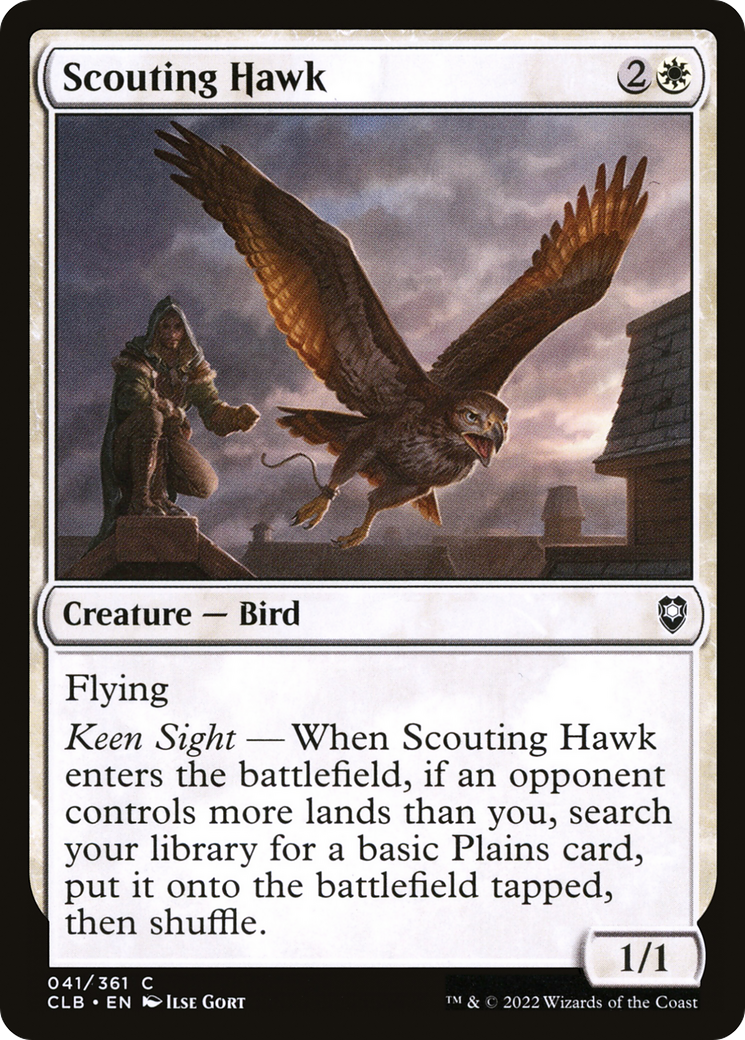 Scouting Hawk (CLB-041)