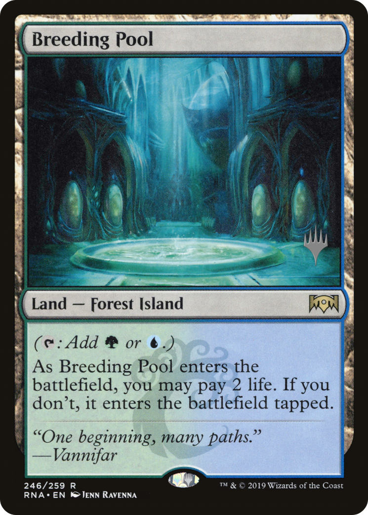 Breeding Pool (PPELD-246P)