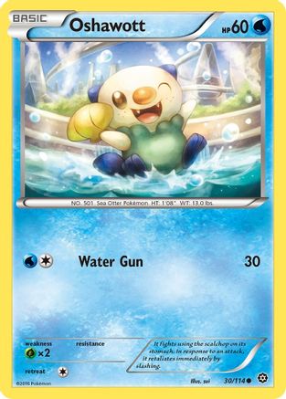 Oshawott (STS-030)