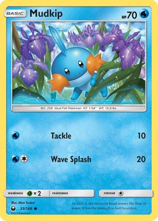 Mudkip (33) (CES-033)