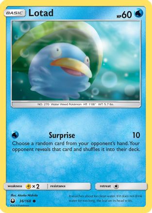 Lotad (CES-036) (Reverse Holofoil)