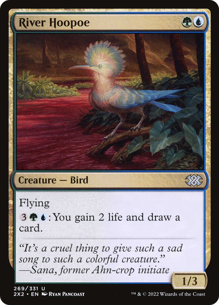 River Hoopoe (2X2-269)