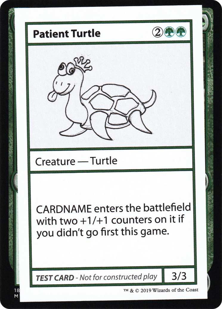 Patient Turtle (No PW Symbol) (CMB2-)