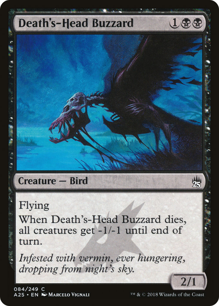 Death's-Head Buzzard (A25-084)