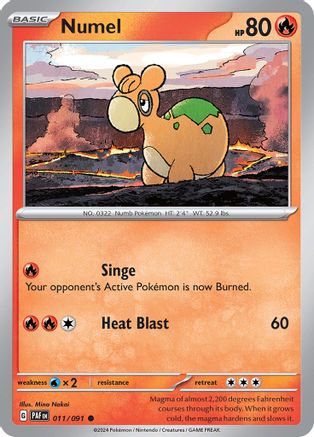 Numel (PAF-011)