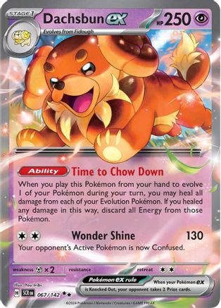 Dachsbun ex (SCR-067) (Holofoil)