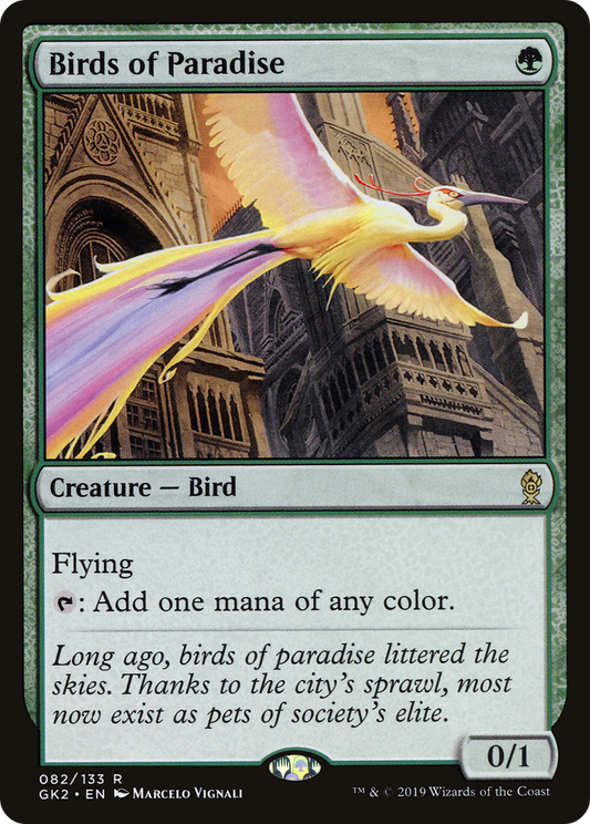Birds of Paradise (GK2-082)