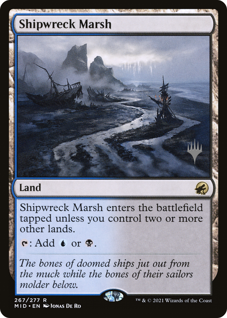 Shipwreck Marsh (PPMID-267P)