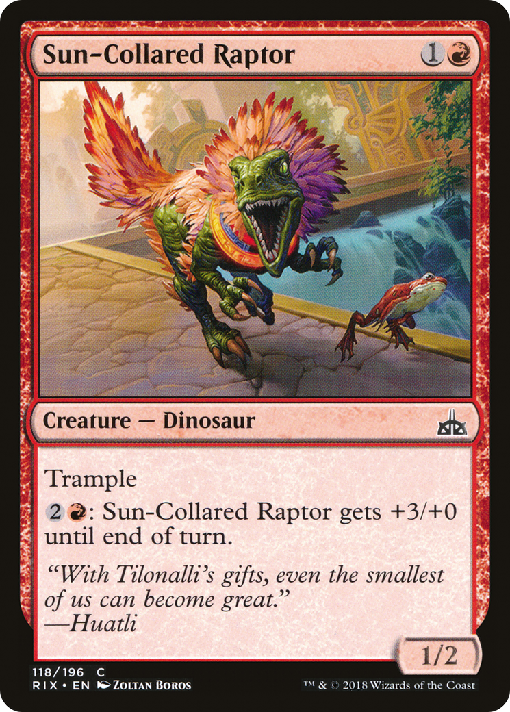 Sun-Collared Raptor (RIX-118)