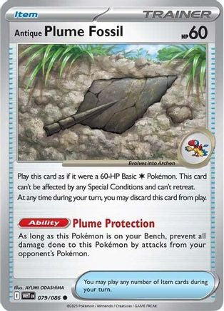 Antique Plume Fossil (WHT-079)