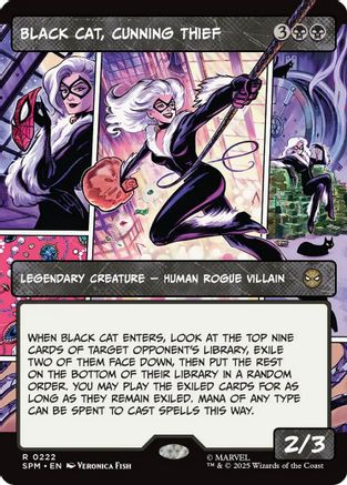 Black Cat, Cunning Thief (Borderless) (SPM-222) (Foil)