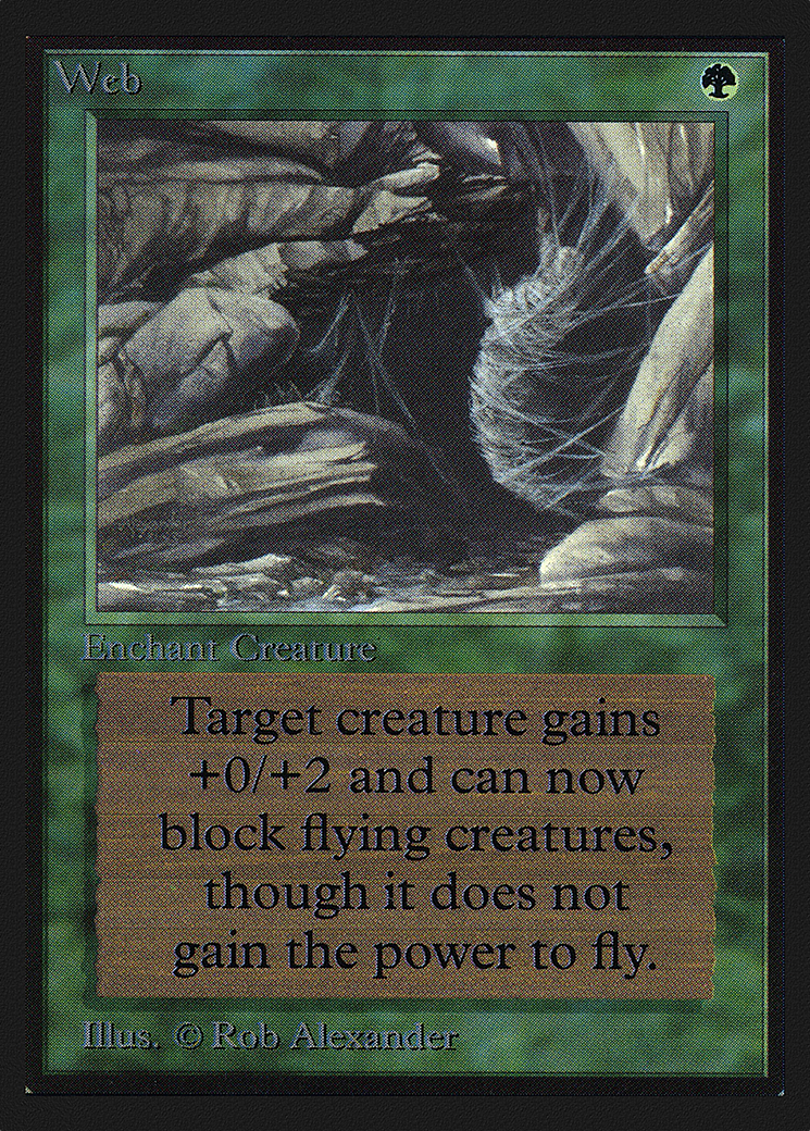 Web (CED-229)