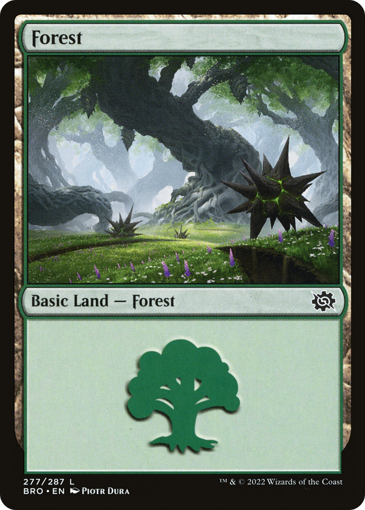 Forest (BRO-277)