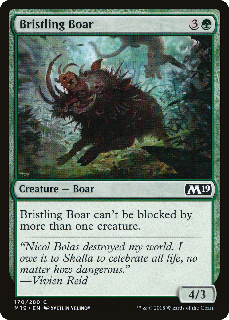 Bristling Boar (M19-170)