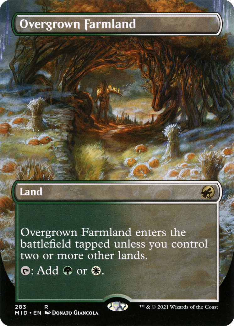 Overgrown Farmland (MID-283) (Borderless)