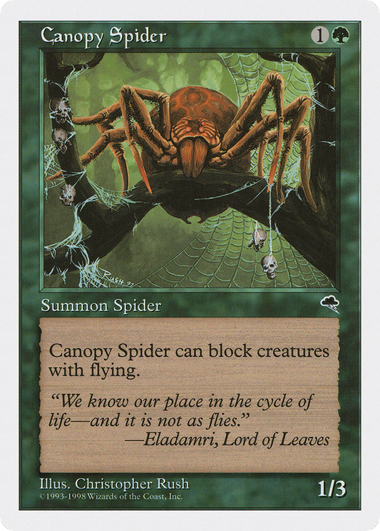 Canopy Spider (ATH-052)