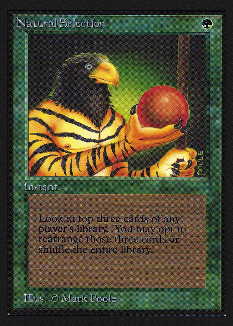 Natural Selection (CED-213)