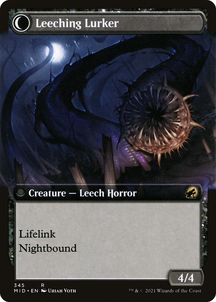 Curse of Leeches // Leeching Lurker (MID-345) (Extended Art)