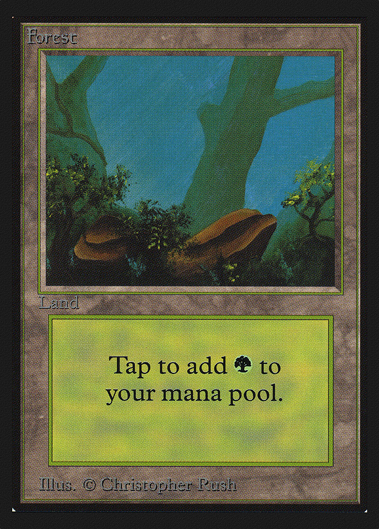 Forest (CED-300)