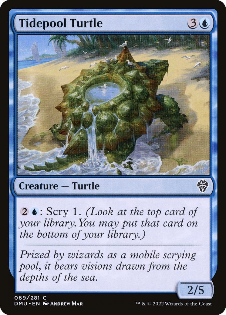 Tidepool Turtle (DMU-069)