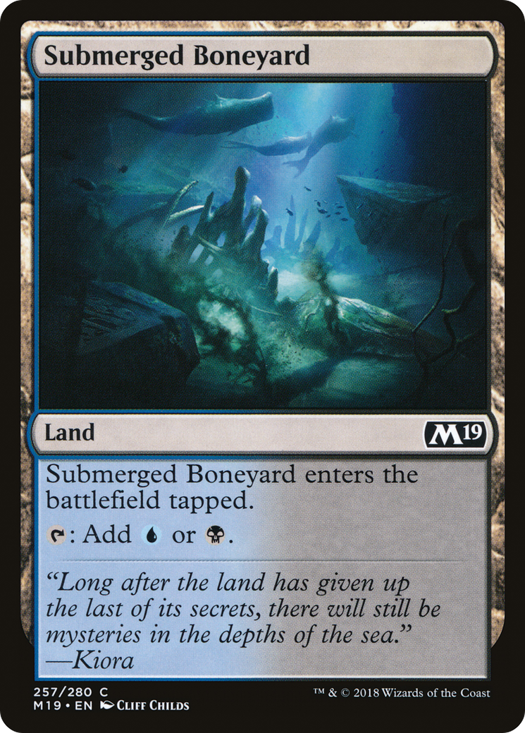 Submerged Boneyard (M19-257)
