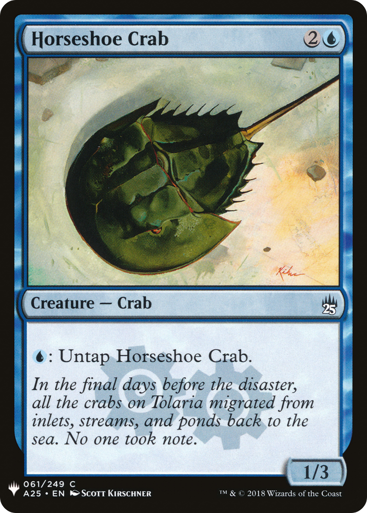 Horseshoe Crab (LIST-A25-61)